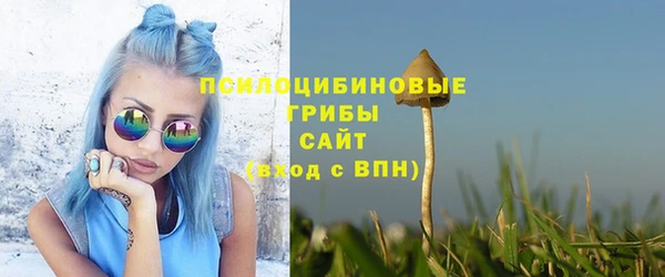 сатива Ветлуга