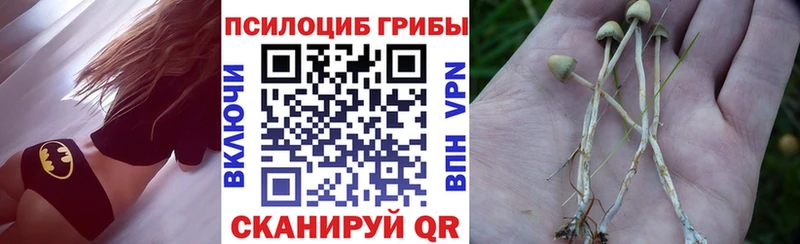 Галлюциногенные грибы мухоморы  hydra зеркало  Череповец  купить наркотики цена 