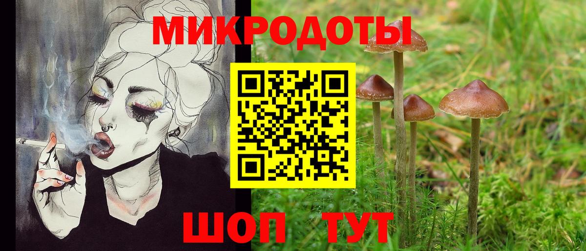 Псилоцибиновые грибы Cubensis Череповец
