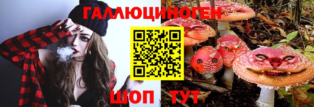 Псилоцибиновые грибы мицелий Череповец