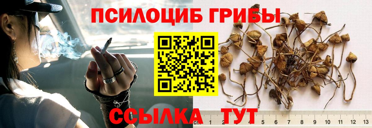 Череповец  Псилоцибиновые грибы GOLDEN TEACHER  Вход с VPN 