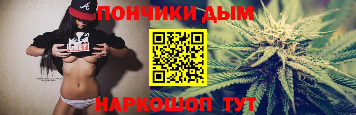 Бошки Шишки семена  Шишки марихуана SATIVA & INDICA  Череповец  Каннабис индика 